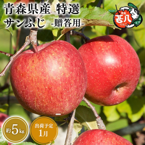1月発送　特選　甚八りんごサンふじ5kg　【マルジンサンアップル　1月　青森県産　平川市　りんご　サンふじ　5kg　特選　贈答用】