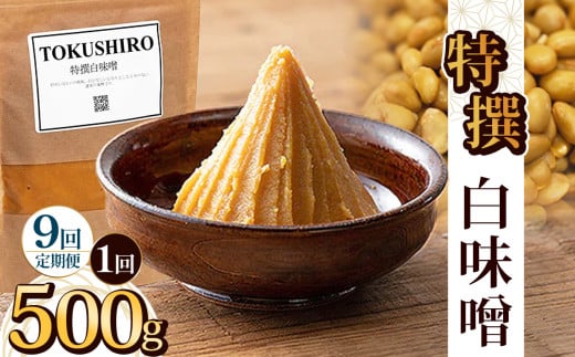 【定期便9回】特撰白味噌 500g | お味噌 味噌 みそ汁 オリジナル味噌  手づくり 手作り 送料無料 栃木県 下野市