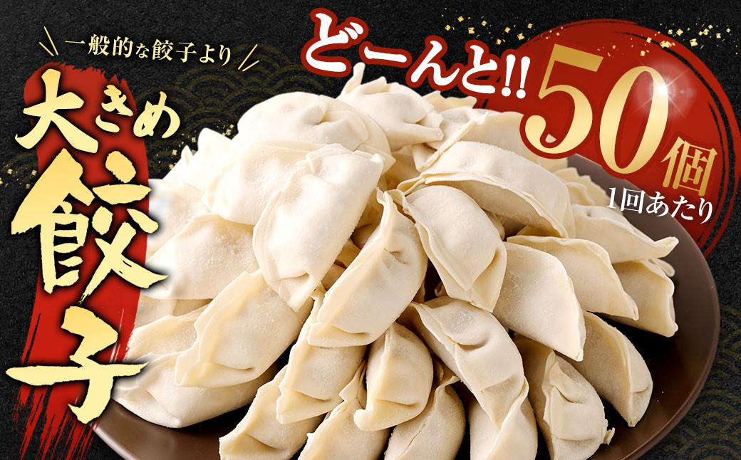 【3ヶ月定期便】【国産冷凍生餃子】大きめ 餃子 50個 ＆ とんこつラーメン 5食付き 合計2kg