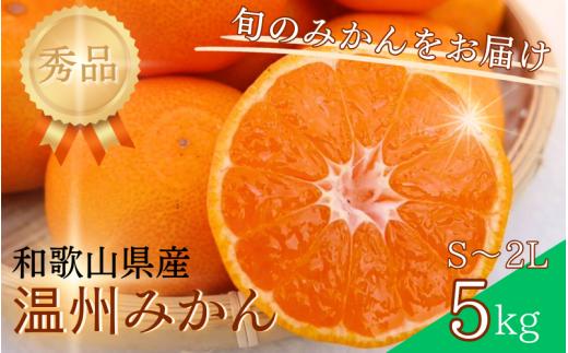 【S~2Lサイズおまかせ】秀品 季節のみかん(極早生・早生・中生・晩稲) 5kg 【2025年10月中旬～2026年2月下旬までに順次発送】＜味好農園＞/蜜柑 柑橘 果物 フルーツ みかん 早生 極早生 中生 晩稲 【agy003A】
