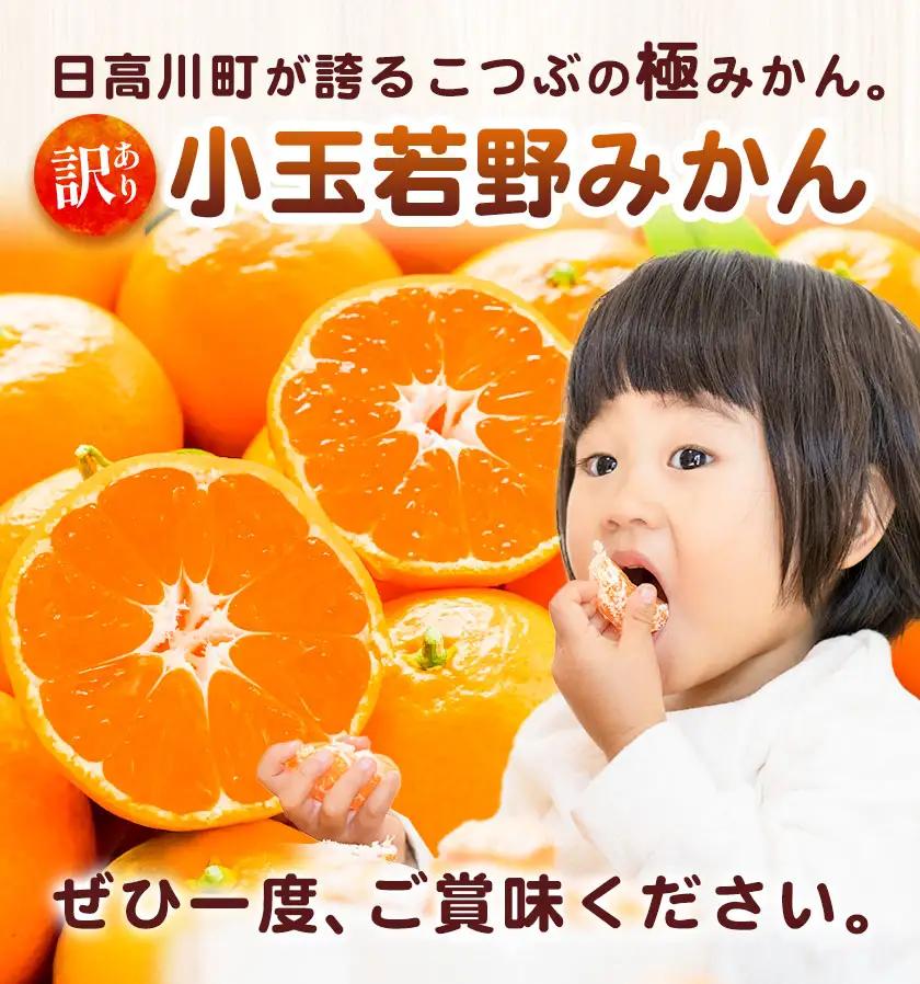訳あり 小玉若野みかん (2S-3Sサイズ)  約5kg マルエイ農園 みかん