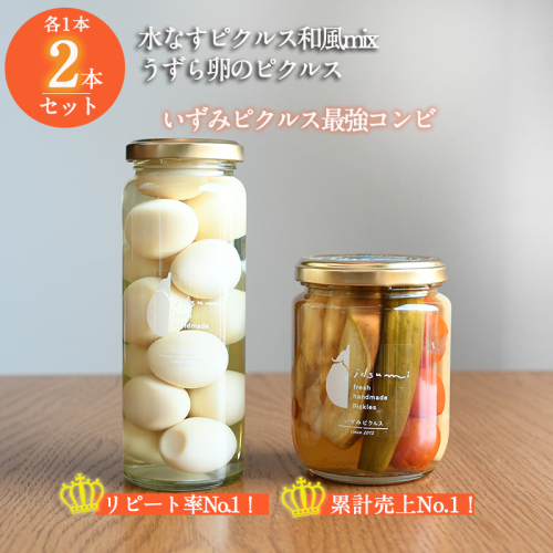【圧倒的企業努力】担当者が選んだピクルス 2本セット うずら卵／水なすピクルス和風mix NSW＜スピード発送＞ 005A715