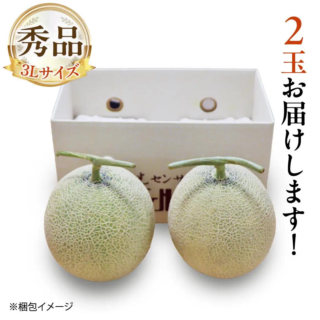 【 先行予約 】茨城県産 アールスメロン 秀品 3L サイズ × 2玉 入り 【 2026年8月下旬から発送 】