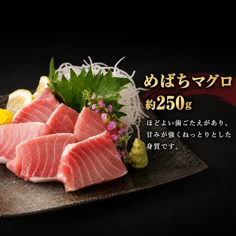 【定期便/計5回】天然マグロ メバチ・ビンチョウ（650g）【まぐろ】ge007 FN-Limited-PR