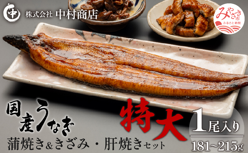 国産うなぎ 蒲焼き 特大サイズ(181～215g)・きざみ・肝焼きセット_M069-014_01