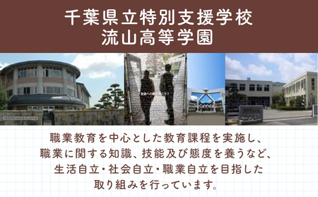 選べる 椅子 折り畳み 流山高等学園 オリジナルセット 舟形ポーチ 眼鏡ケース
