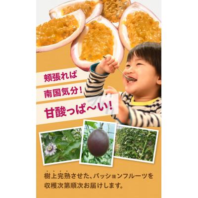 ふるさと納税 奄美市 栽培期間中農薬・化学肥料不使用　奄美パッションフルーツ　家庭用3kg(35個〜40個前後) |  | 01