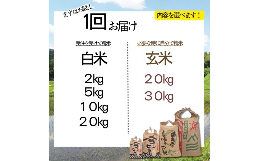 まずは1回お届け！美味しさを確かめてみてください。