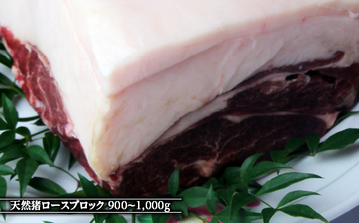 江の川shishi ブロックセット 2.7kg〜3kg 猪肉 いのしし肉 イノシシ肉 ジビエ ロース モモ バラ 煮込み用 角煮 焼肉用