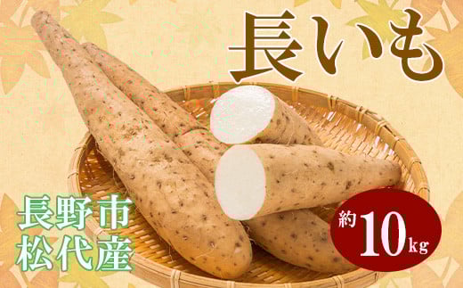 
            J0964 長野市ながいも 10kg (2025年11月下旬頃出荷分）高野農園
          