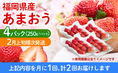 【全2回定期便】福岡産【春】 あまおう 4パック 《築上町》【南国フルーツ株式会社】果物 苺 いちご[ABET026]