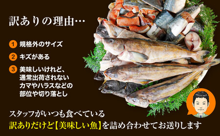 【2025年5月下旬発送】訳あり 北海道のおさかな屋さんの まかないセット 最大約4kg 魚 魚介 訳あり 期間限定