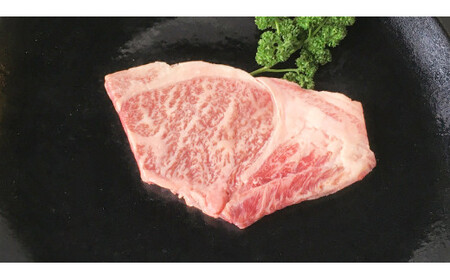 常陸牛肩ロースステーキ100g×2枚 合計200g アウトドア お肉 肉 牛肉 和牛 黒毛和牛 ロース ステーキ 肩ロース ロースステーキ 牛肉 常陸牛 お取り寄せ 冷凍 茨城県 守谷市
