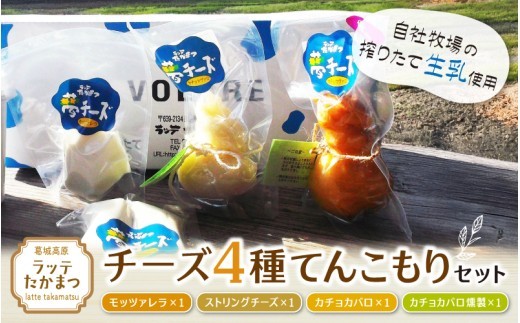 
                  ラッテたかまつ チーズ ４種てんこもりセット ／ モッツアレラ ストリング カチョカバロ 燻製 自社牧場 生乳 手作り 熟成 お酒 ワイン 酪農 自然 ミルク感 家飲み ピザ グラタン 【latt002】
                