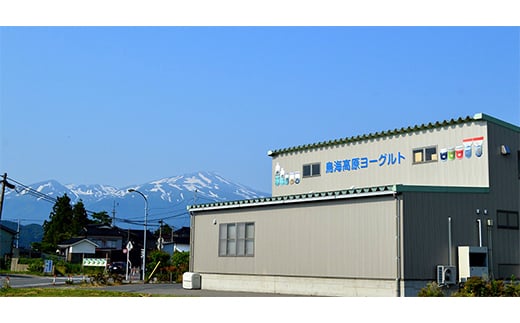 鳥海高原ヨーグルト詰合せ 6種6個セット F2Y-5561