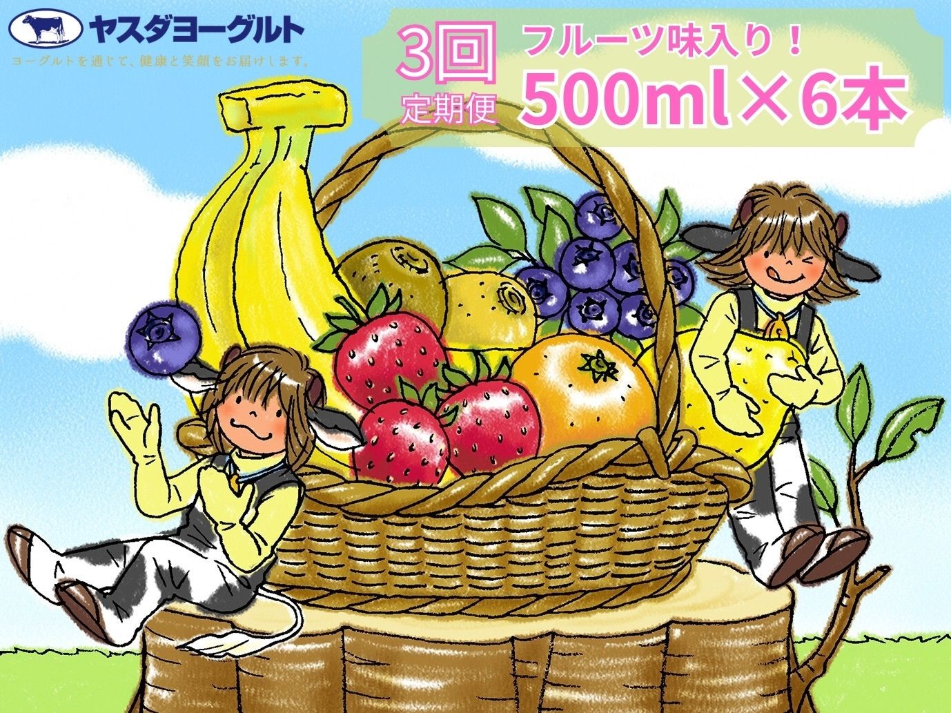 
                  【3ヶ月定期便】ヤスダヨーグルト バラエティセット 500ml×6本×3回 無添加 搾りたて こだわり生乳 濃厚 飲むヨーグルト のむよーぐると ヨーグルト 1B29028
                