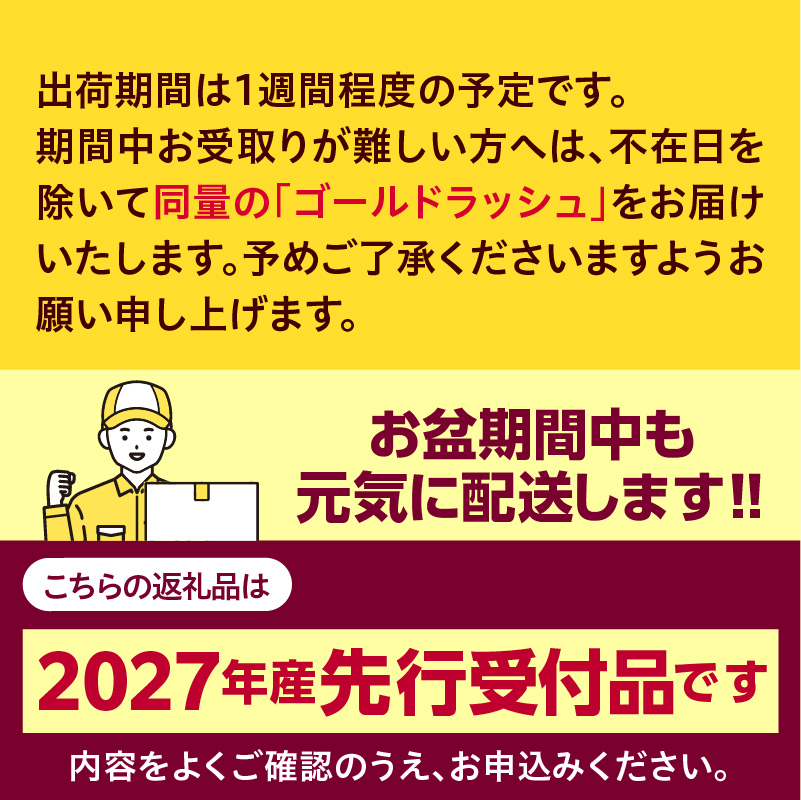 【先行受付】【2027年7月下旬～8月15日頃配送】北海道十勝芽室町 なまら十勝野　ドルチェドリーム(10本) 　me001-043-27b／スイートコーン バイカラー コーン とうきび 生 野菜 朝