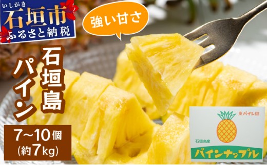 石垣島パイン(ハワイ種またはピーチパイン) 7~10個(約7kg) 【2026年6月中旬頃より順次発送】PE-001