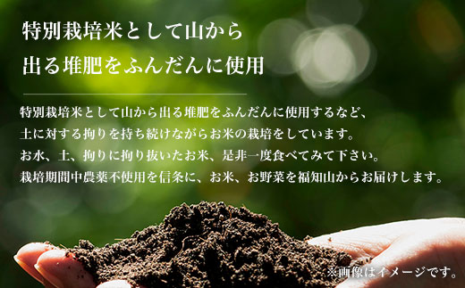 【令和6年産新米】京都丹波福知山産 はるまる農園のコシヒカリ 5kg ／ ふるさと納税 精米 米 こめ ご飯 ごはん 白米 コシヒカリ こしひかり 特別栽培米 FCCN009