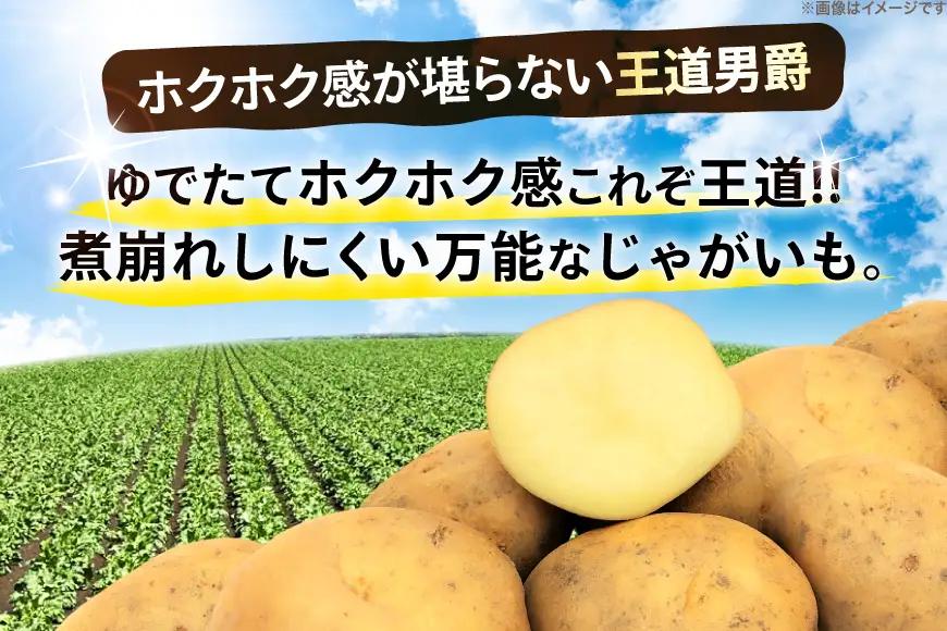 じゃがいも 男爵 5kg