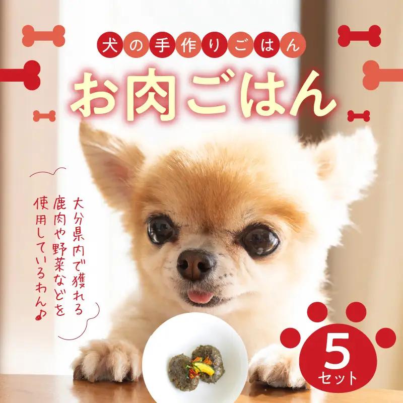 ドッグフード 無添加 お肉ごはん5点セット 【犬の手作りごはん】 R15006