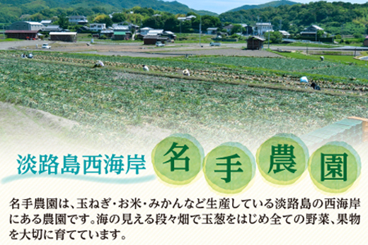【新たまねぎ】名手農園の淡路島特産玉ねぎ10kg【発送時期