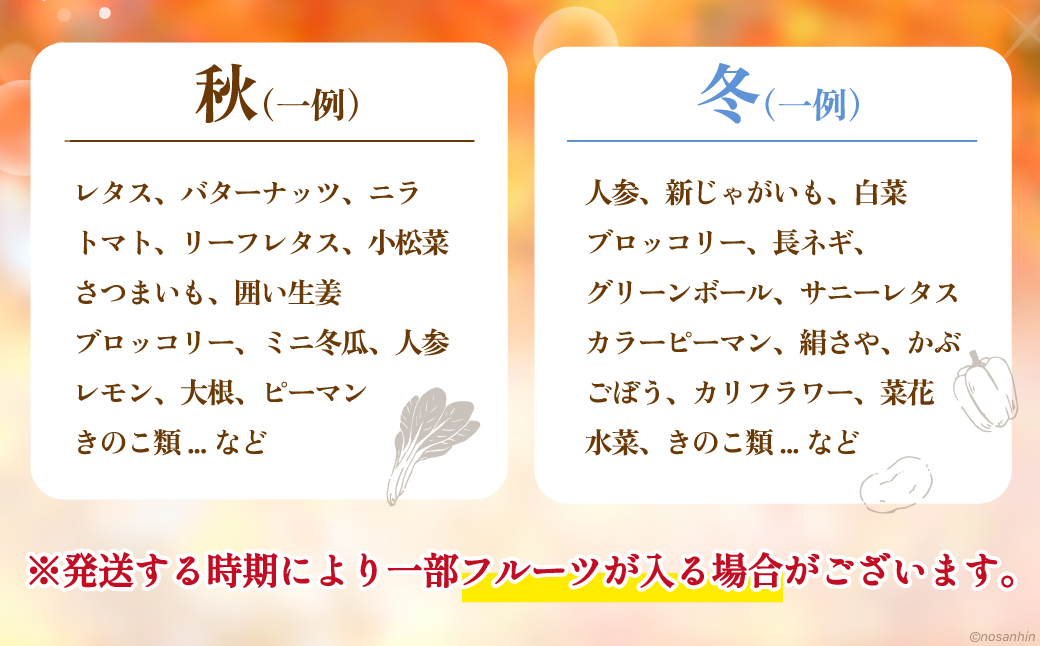 野菜 野菜セット やさい ヤサイ 新鮮 旬 たまご 卵 タマゴ 長崎