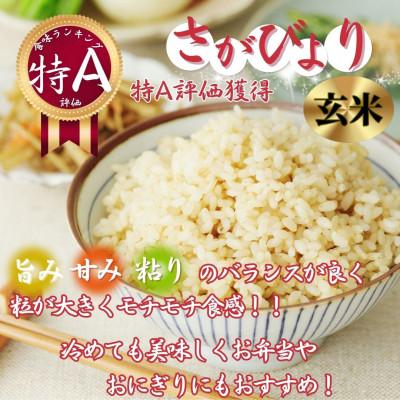ふるさと納税 伊万里市 【毎月定期便】【玄米】さがびより5kg【特A評価】《マイスターセレクト》(伊万里市)全3回 |  | 01