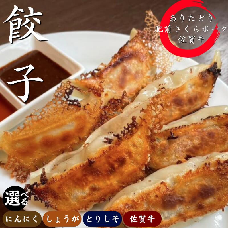 【ふるさと納税】大門餃子【選べる種類！選べる容量】佐賀県産「肥前さくらポーク」「ありたどり」「佐賀牛」使用！：B170-040