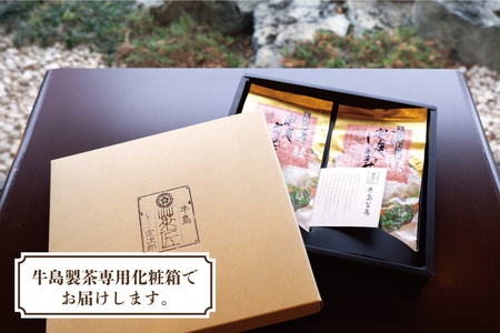 【新茶】【ギフト対応可能】2025年新茶をお届け!! 極上八女深蒸し煎茶セット 028-011