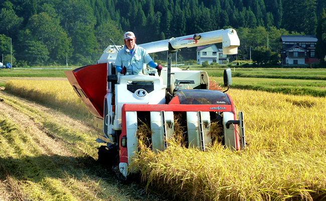 【令和7年産新米予約】魚沼プレミアム（有機肥料、農薬不使用）「匠が作るこだわり米」精米10ｋｇ【2025年9月中旬より順次発送予定】