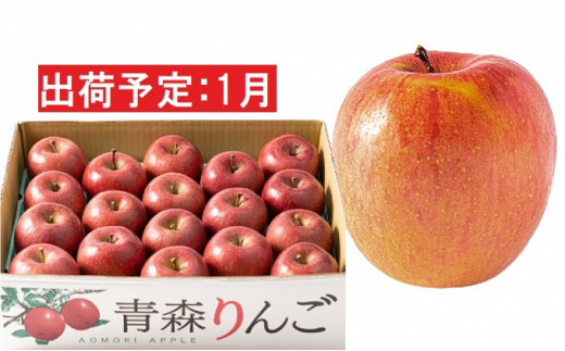1月  家庭用濃厚サンふじ約5kg　糖度13度以上【訳あり】青森津軽りんご 果物類 林檎 リンゴ