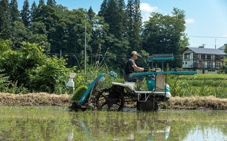 《定期便3ヶ月》 減農薬・減化学肥料栽培 西会津産米 ゆうだい21 精米 5kg F4D-1224