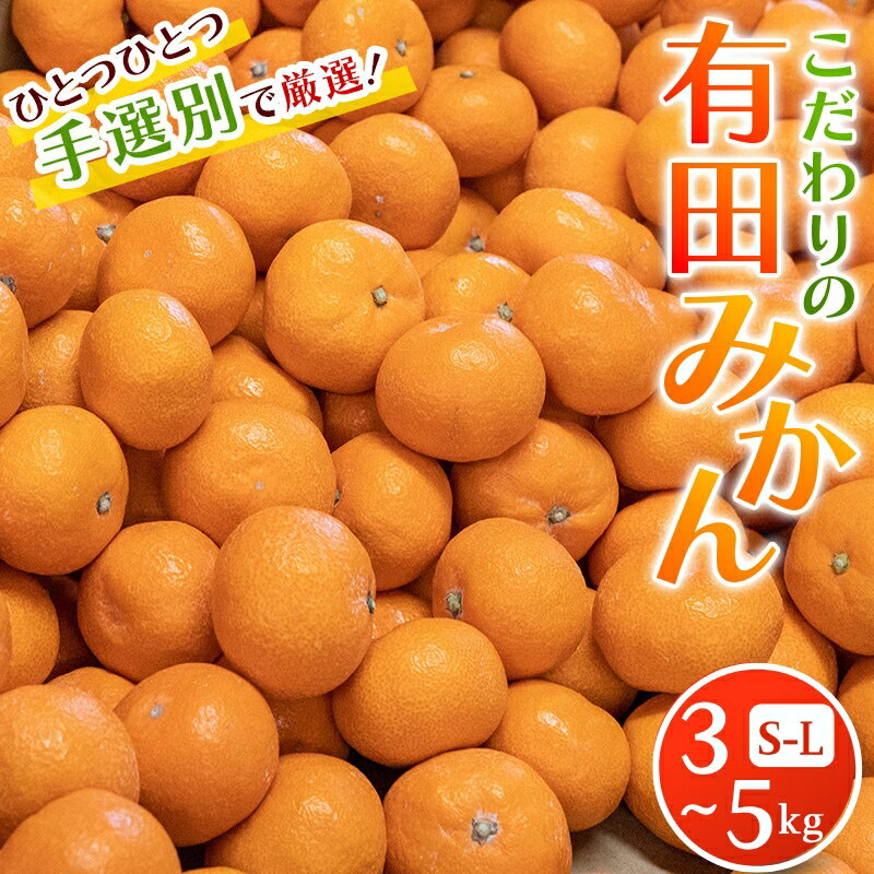 【ふるさと納税】 有田みかん こだわりの和歌山県産 （S～Lサイズ） ひとつひとつ手選別で厳選！生産者から直送 【11月中旬～翌年1月中旬頃に順次発送分】/ 温州みかん みかん フルーツ 果物 くだもの 柑橘
