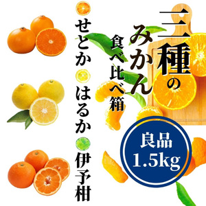 【三種のみかん食べ比べ箱】 ＜2月から順次発送＞ せとか・はるか・伊予柑 約1.5kg 良品　 | 愛媛 みかん 先行予約 蜜柑 柑橘 果物 くだもの フルーツ お取り寄せ グルメ 期間限定 数量限定 人気 おすすめ 愛媛県 松山市 【PT044】