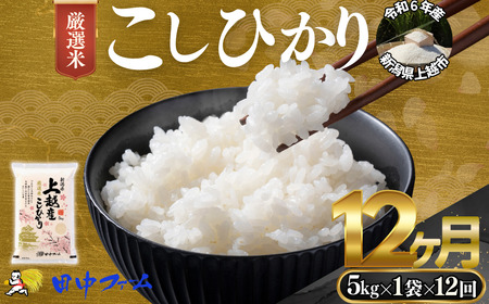 上越市産 新潟 特別米コシヒカリ　5kg 12か月定期便  上越市 精米 米 コメ こしひかり ブランド米