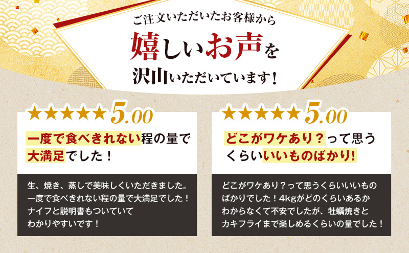 訳あり 規格外 牡蠣 北海道厚岸産 殻付カキ 約4kg (25～50個) カキナイフ付 生食