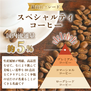 品種おまかせ スペシャルティコーヒー 100g ＼ コーヒー ／