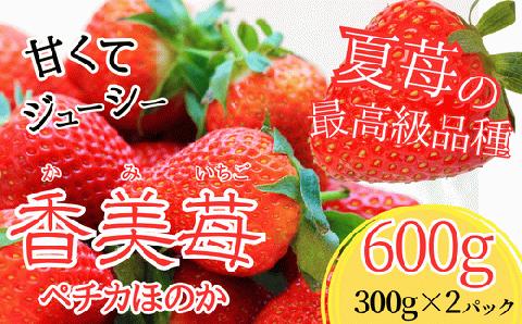 【先行予約】18-06 夏イチゴの最高級品種　【ペチカほのか】　300g（12～24粒）× 2パック