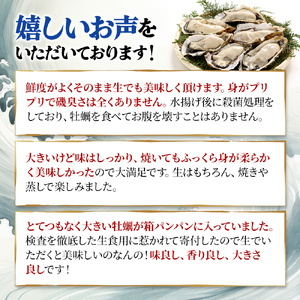 牡蠣 3Lサイズ 20個 生食用 マルえもん 殻付き 北海道厚岸 牡蠣