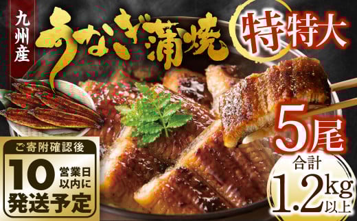 九州産 うなぎ蒲焼 特特大5尾 (1尾あたり250～266g) 合計：1.2kg以上【順次発送】
