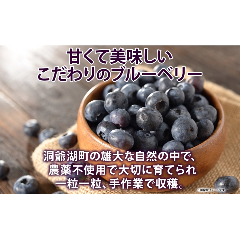 北海道 訳あり ブルーベリー 400g×2袋 9月以降順次出荷 果物 果実 フルーツ 新鮮 国産 ベリー 農作物 お取り寄せ グルメ ギフト 冷凍 長期 保存 送料無料 とうやMarche マルシェ
