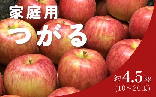 KR28-25A りんご つがる 家庭用 約4.5㎏（10～20玉） / 8月下旬頃～配送予定 // 長野県 南信州 松川町産 自家用 訳あり リンゴ 林檎 早生りんご 農家直送 農家支援 産地直送 約5kg