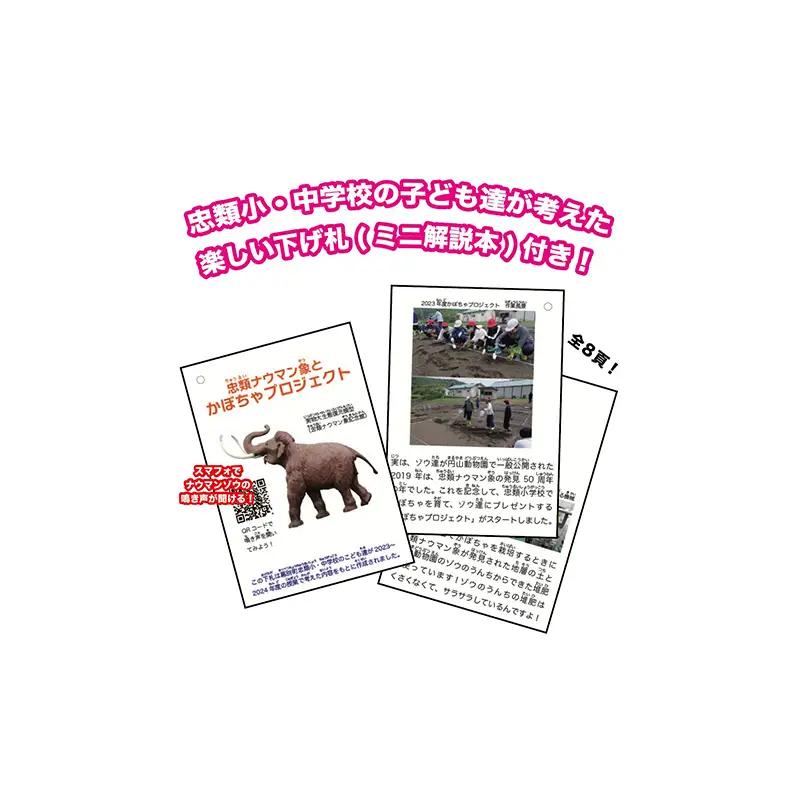 [北海道 幕別町]学芸員監修＆子どもたちと作った！忠類ナウマンゾウぬいぐるみ2体 トレカ付き（小中学生制作のオリジナル学びの下げ札付き）【 ぬいぐるみ おもちゃ ふわふわ もこもこ ゆるキャラ トレカ
