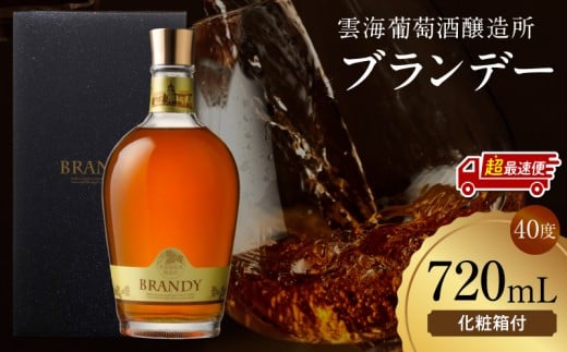 【超最速便】雲海葡萄酒醸造所 ブランデー 720ml_M375-005-02-1W