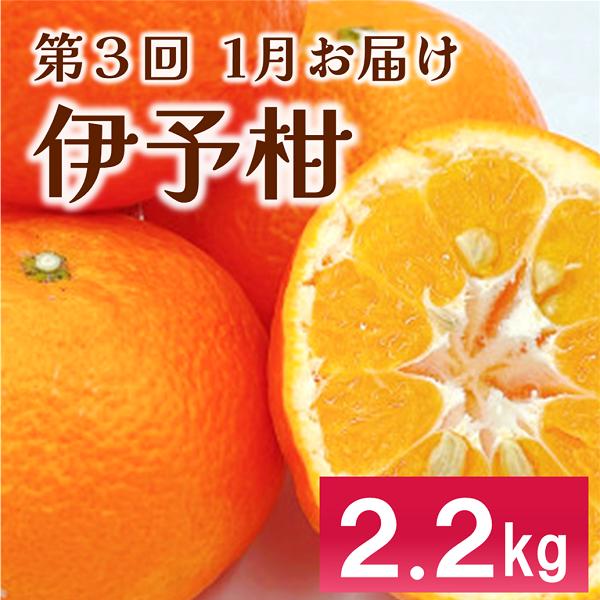伊予市 特産定期便 全3回 中山栗・紅まどんな・伊予柑｜D48