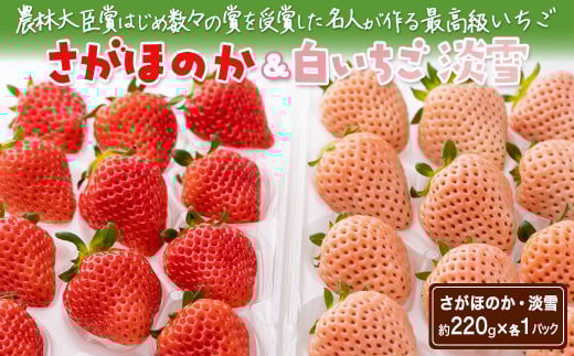 ＜令和8年1月中旬以降順次発送＞紅白いちご（淡雪・さがほのか）セット440g［A0048-0003］