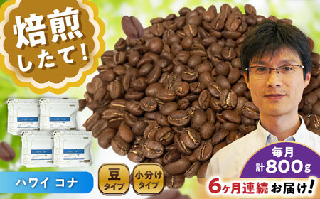 【全6回定期便】ハワイ・コナ　コーヒー豆　200g×4個 (豆)  / コーヒー  ドリップ  豆 / 瀬戸市 / Ｃｏｆｆｅｅ　ＳＡＫＵＲＡ[BBAB064]