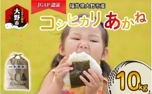 【先行予約】【令和6年産 新米】福井県大野市産 JGAP認証 コシヒカリ「あかね」10kg