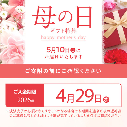 【母の日お届け】VANILLABEANS ショーコラ＆パリトロ12個入 ｜ 母の日 AGK0008-h